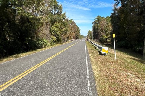 Land in Hilliard, Florida № 1243064 - photo 1