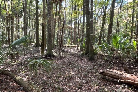 Land in Hilliard, Florida № 1243064 - photo 21
