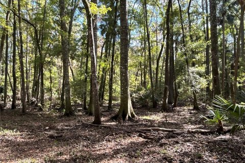Land in Hilliard, Florida № 1243064 - photo 16