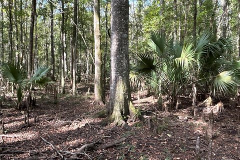 Land in Hilliard, Florida № 1243064 - photo 17