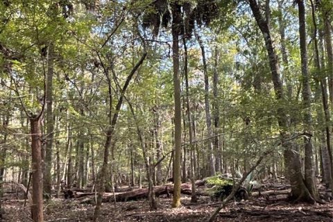 Land in Hilliard, Florida № 1243064 - photo 15