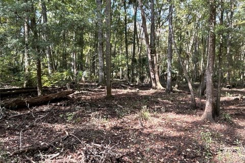 Land in Hilliard, Florida № 1243064 - photo 18