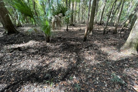 Land in Hilliard, Florida № 1243064 - photo 12