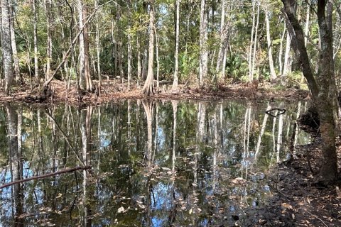 Land in Hilliard, Florida № 1243064 - photo 4
