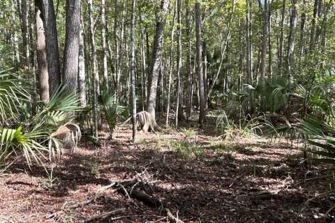 Land in Hilliard, Florida № 1243064 - photo 2