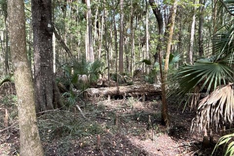 Land in Hilliard, Florida № 1243064 - photo 20