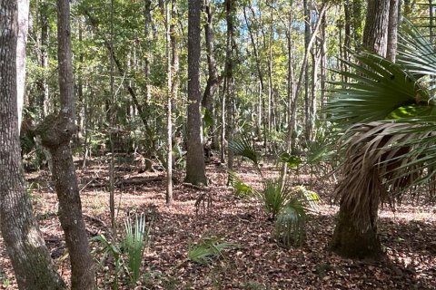 Land in Hilliard, Florida № 1243064 - photo 3