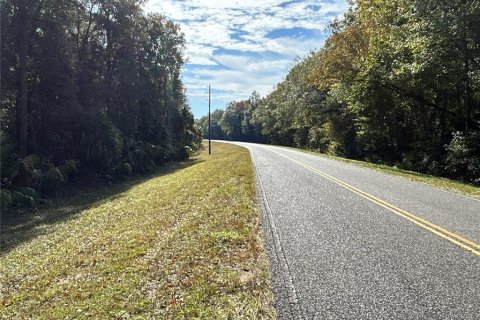 Land in Hilliard, Florida № 1243064 - photo 7