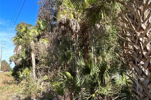 Land in Hilliard, Florida № 1243064 - photo 8