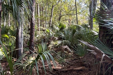 Land in Hilliard, Florida № 1243064 - photo 19