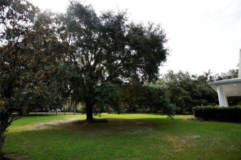 House in Brooksville, Florida 3 bedrooms, 295.99 sq.m. № 1356378 - photo 6