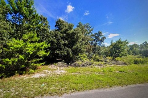 Terreno en venta en Ocala, Florida № 2213699 - foto 3
