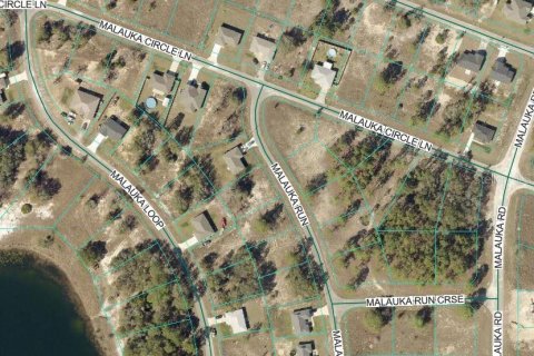 Land in Ocklawaha, Florida № 2163353 - photo 2