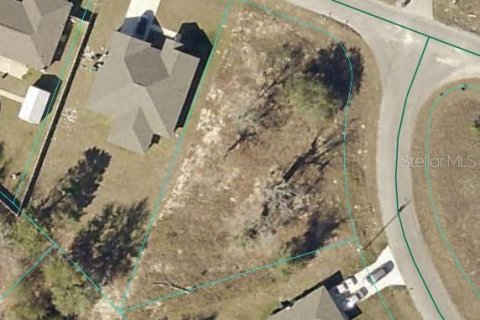 Land in Ocklawaha, Florida № 2163353