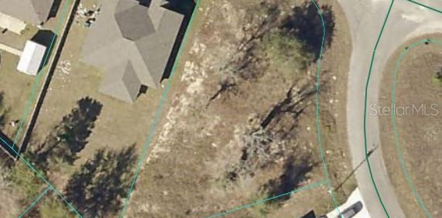 Land in Ocklawaha, Florida № 2163353