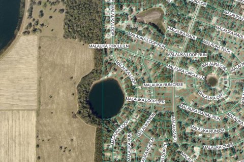 Land in Ocklawaha, Florida № 2163353 - photo 3
