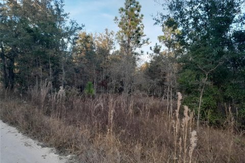 Terreno en Williston, Florida № 2162358