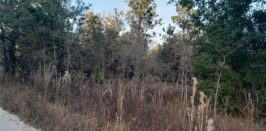 Land in Williston, Florida № 2162358