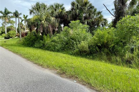 Land in North Port, Florida № 2224082 - photo 3