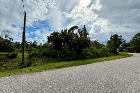Land in North Port, Florida № 2224082 - photo 5