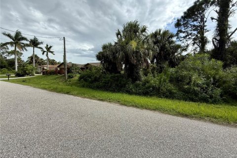 Land in North Port, Florida № 2224082 - photo 4