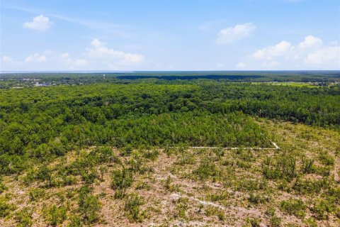 Land in Astor, Florida № 2102419 - photo 11