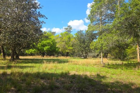 Land in Astor, Florida № 2102419 - photo 2