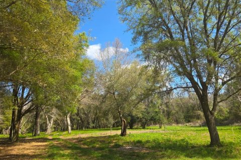 Land in Astor, Florida № 2102419 - photo 9