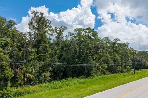 Land in Brooksville, Florida № 2302662 - photo 9