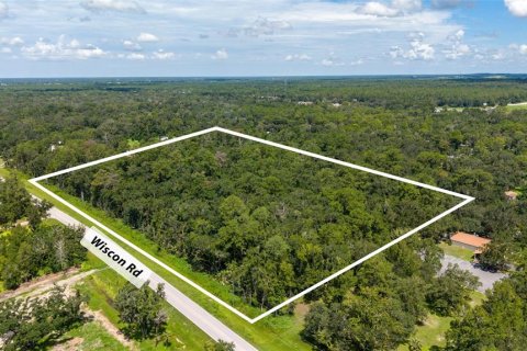 Land in Brooksville, Florida № 2302662 - photo 3