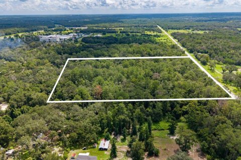 Land in Brooksville, Florida № 2302662 - photo 7