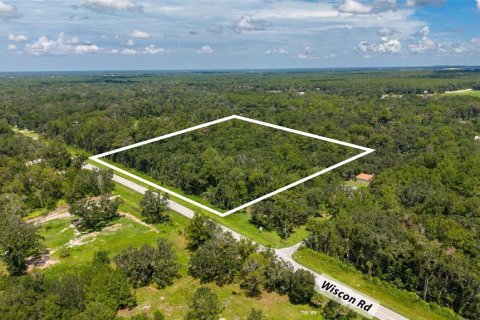 Land in Brooksville, Florida № 2302662 - photo 4