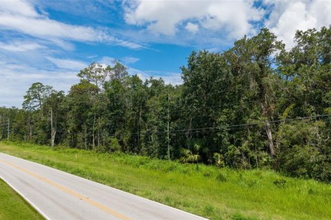 Land in Brooksville, Florida № 2302662 - photo 8