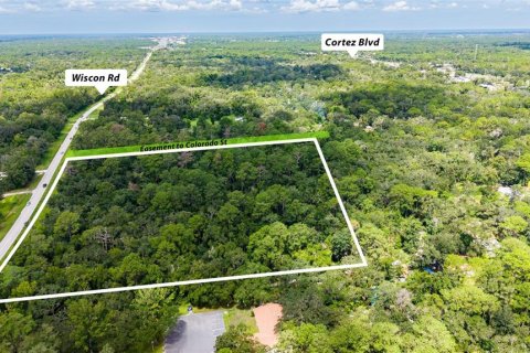 Land in Brooksville, Florida № 2302662 - photo 5