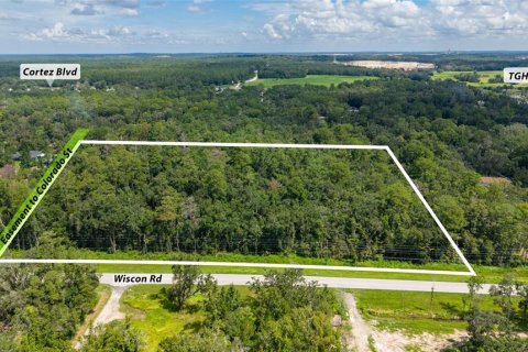 Land in Brooksville, Florida № 2302662 - photo 2
