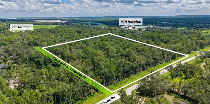 Land in Brooksville, Florida № 2302662