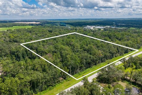 Land in Brooksville, Florida № 2302662 - photo 6