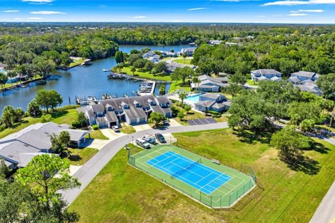 Condo in Crystal River, Florida, 4 bedrooms № 2197110 - photo 6