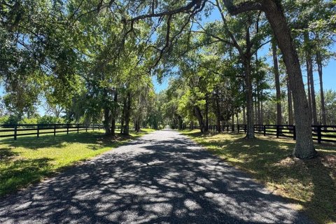 Terreno en venta en Ocala, Florida № 2143150 - foto 5
