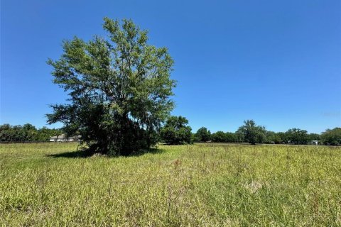 Terreno en venta en Ocala, Florida № 2143150 - foto 7