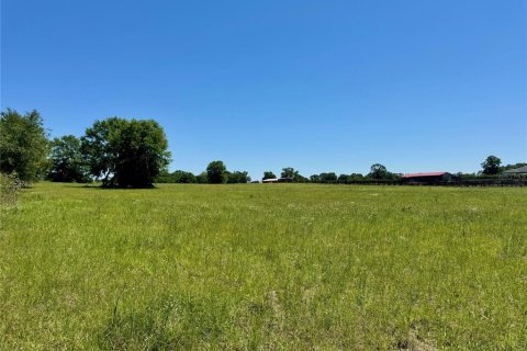 Terreno en venta en Ocala, Florida № 2143150 - foto 2