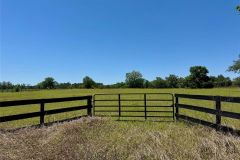 Terreno en venta en Ocala, Florida № 2143150 - foto 3