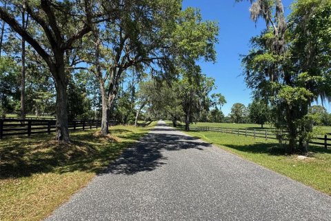 Terreno en venta en Ocala, Florida № 2143150 - foto 6