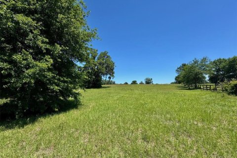 Terreno en venta en Ocala, Florida № 2143150 - foto 8