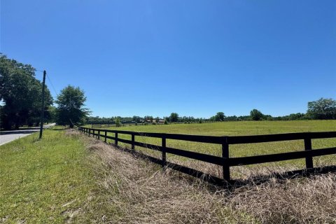 Terreno en venta en Ocala, Florida № 2143150 - foto 4