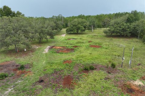 Land in Williston, Florida № 1844508 - photo 9