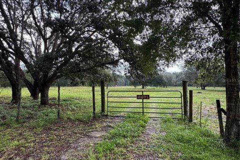 Land in Williston, Florida № 1844508 - photo 6
