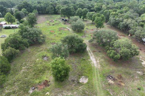 Land in Williston, Florida № 1844508 - photo 5
