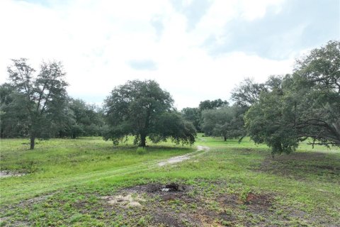 Land in Williston, Florida № 1844508 - photo 1