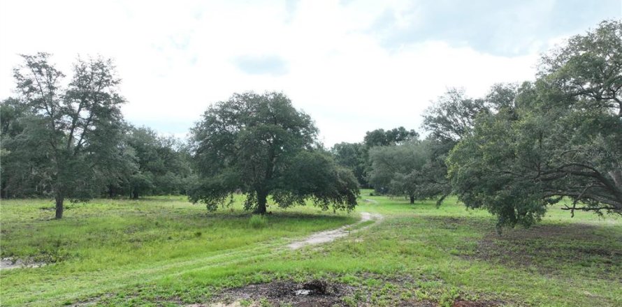 Land in Williston, Florida № 1844508